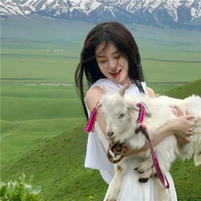 黄水仙的秘密